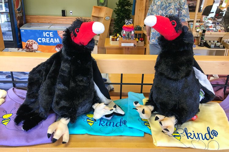 Off-season buzzard siting, Hinckley Lake Boathouse and Store.